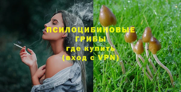 крисы Белоозёрский