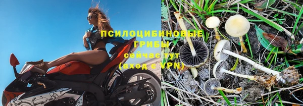 MDMA Беломорск