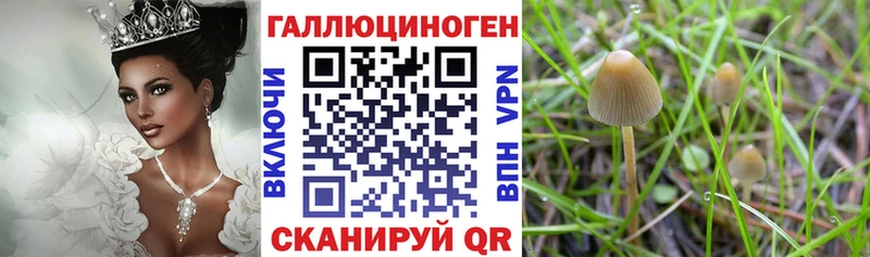 Псилоцибиновые грибы Psilocybine cubensis  где продают наркотики  мега рабочий сайт  Невель 